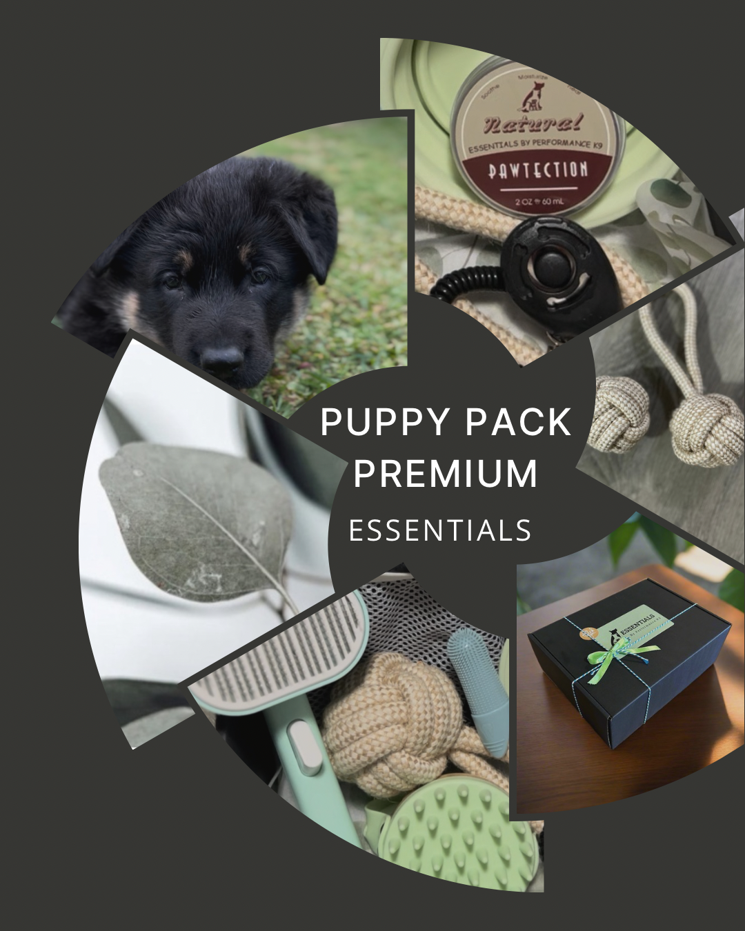 Essential Puppy Packs