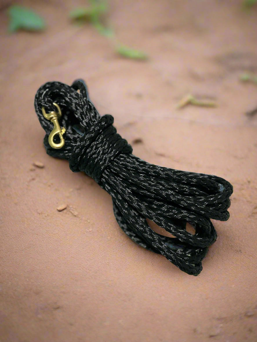 Active Dog Essentials