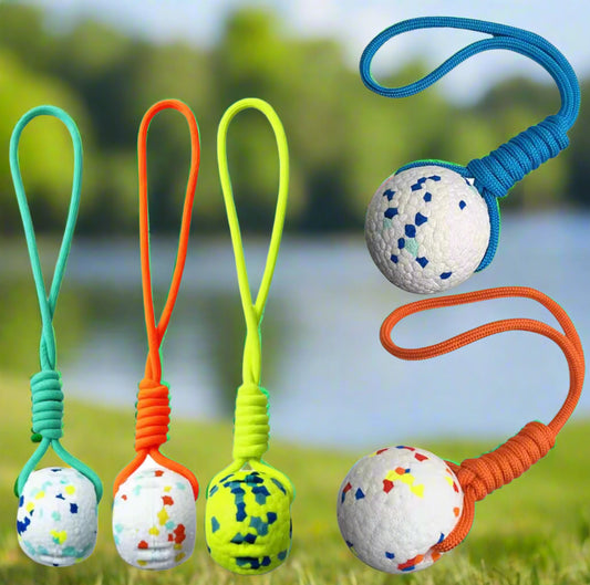 Ball Tug Toy for Dogs