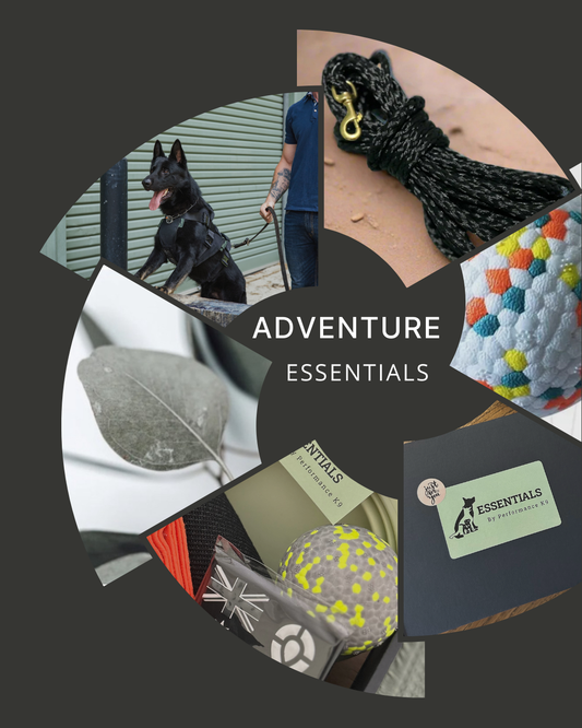Adventure Pack