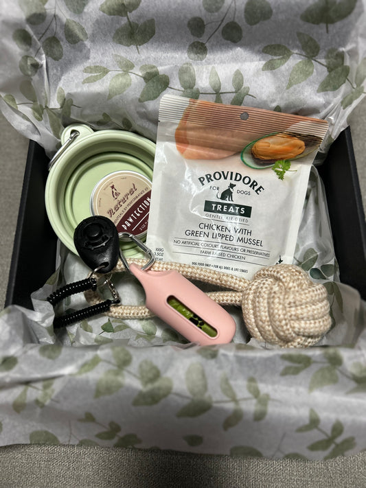 Essentials Puppy Pack - Starter