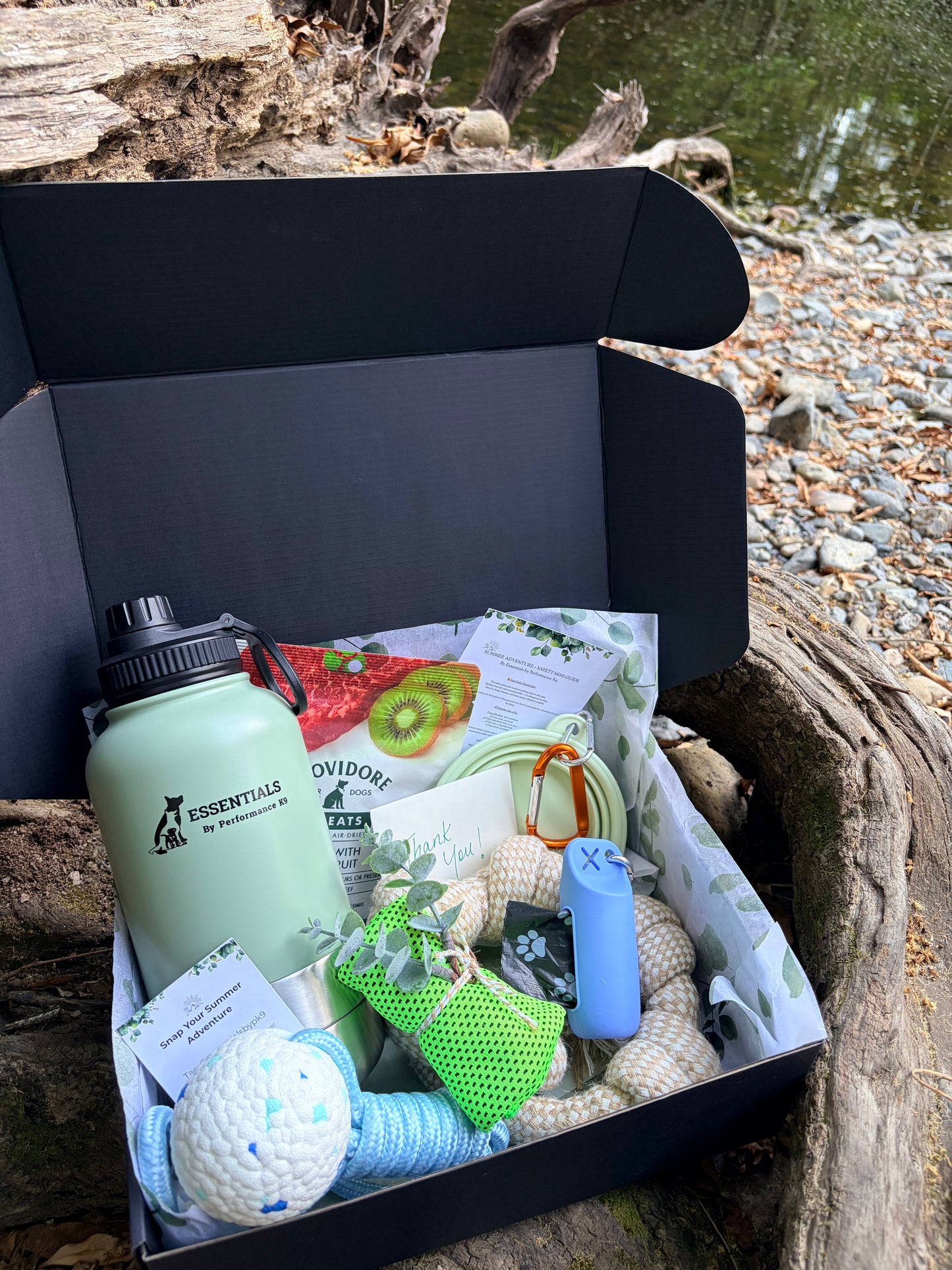 Summer Adventure Dog Box (Limited Christmas Edition)