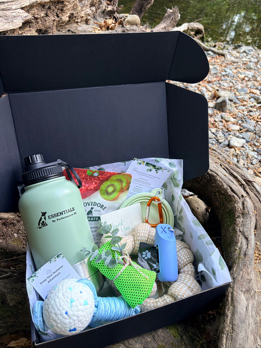 Adventure Dog Box