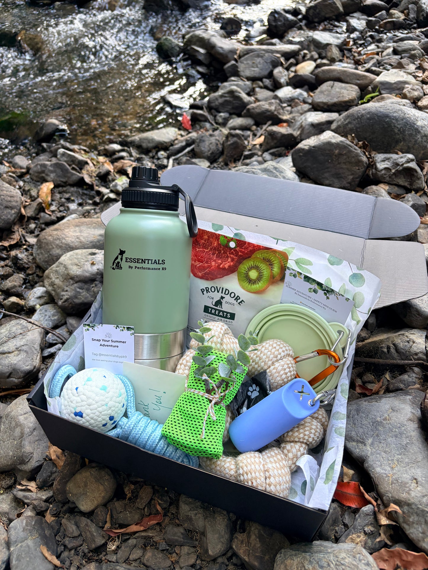 Summer Adventure Dog Box (Limited Christmas Edition)