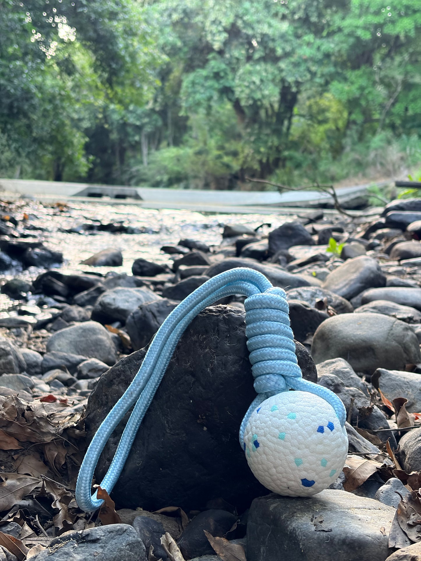 Summer Adventure Dog Box (Limited Christmas Edition)