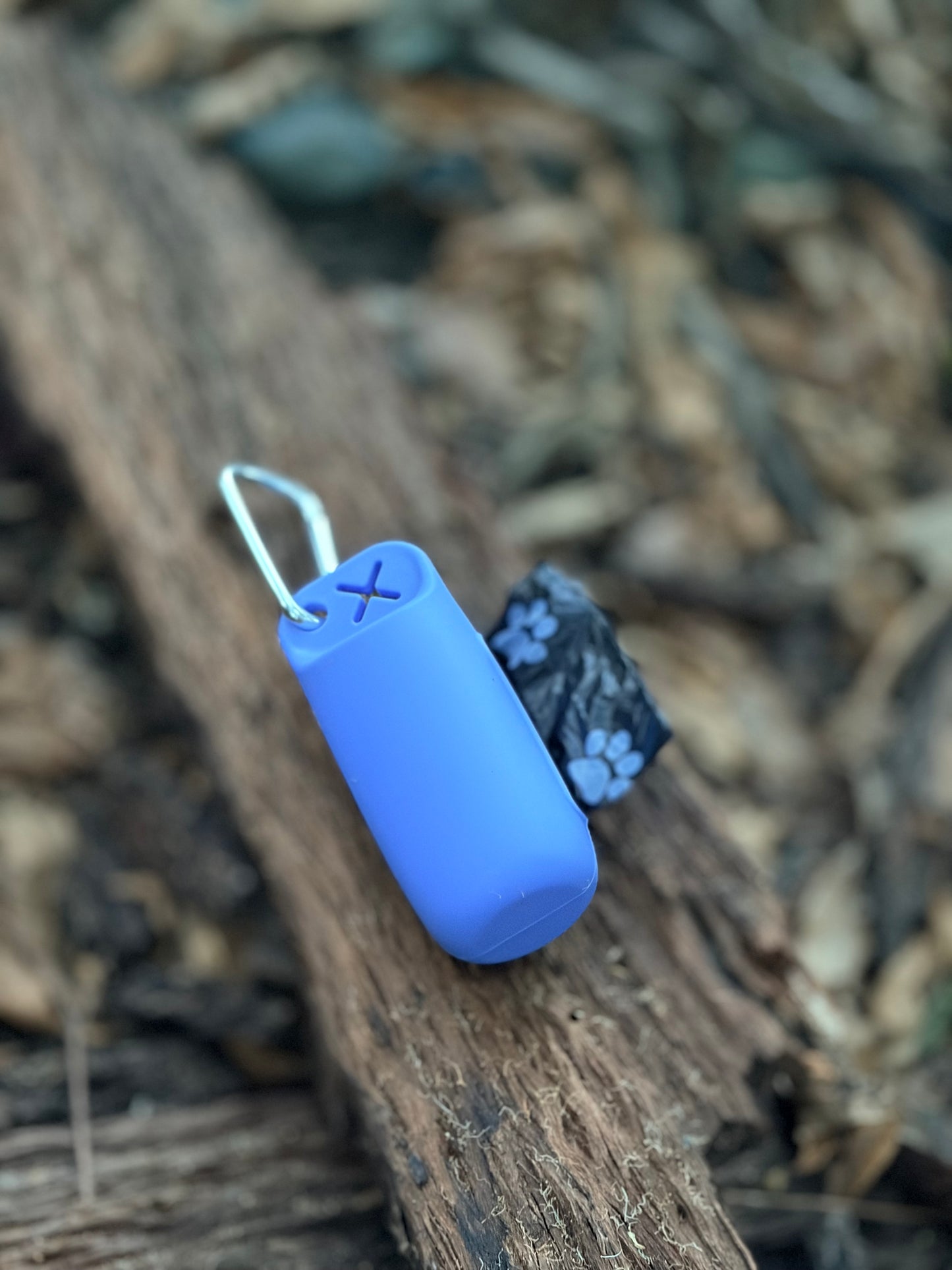 Summer Adventure Dog Box (Limited Christmas Edition)