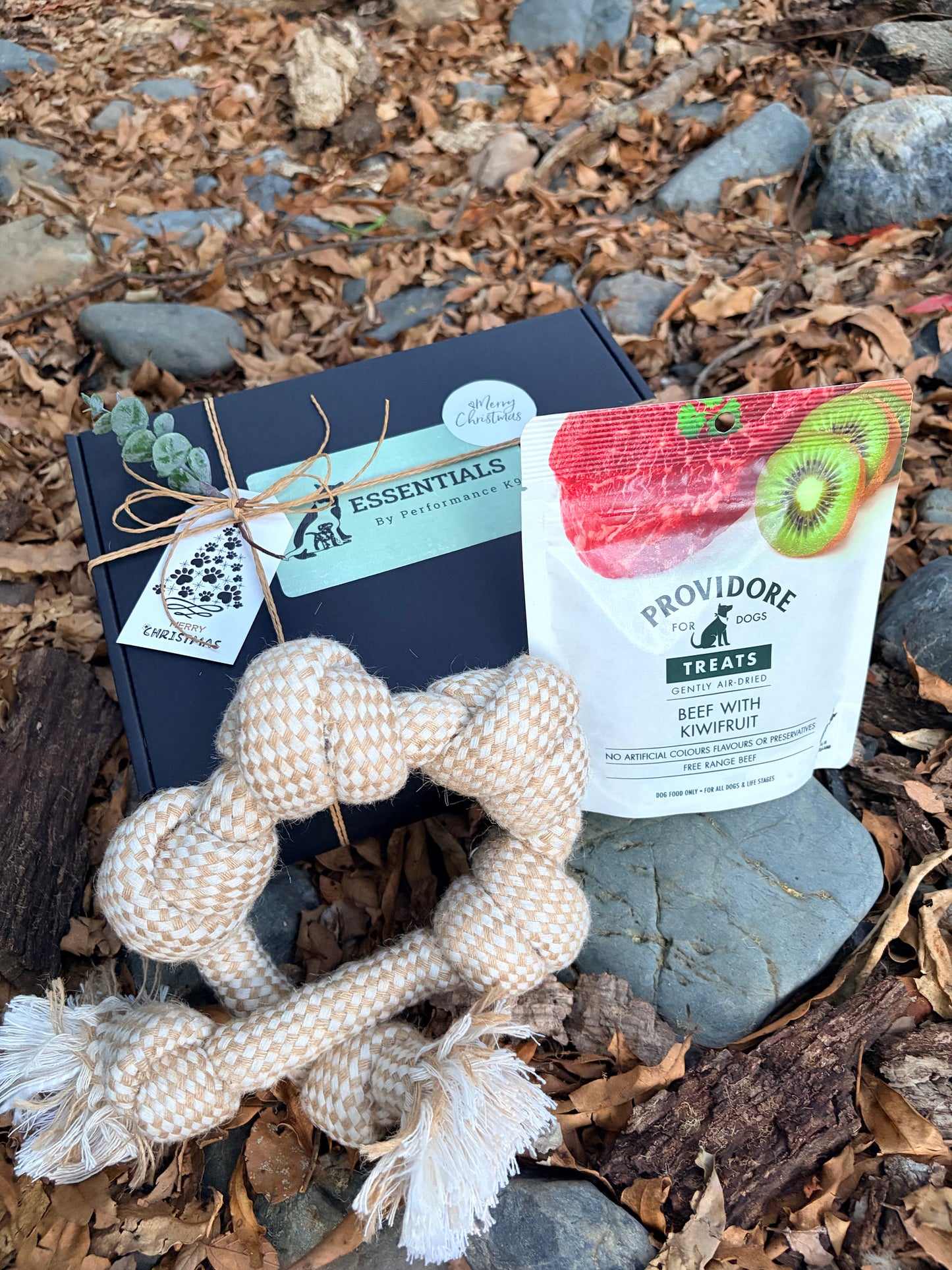 Summer Adventure Dog Box (Limited Christmas Edition)